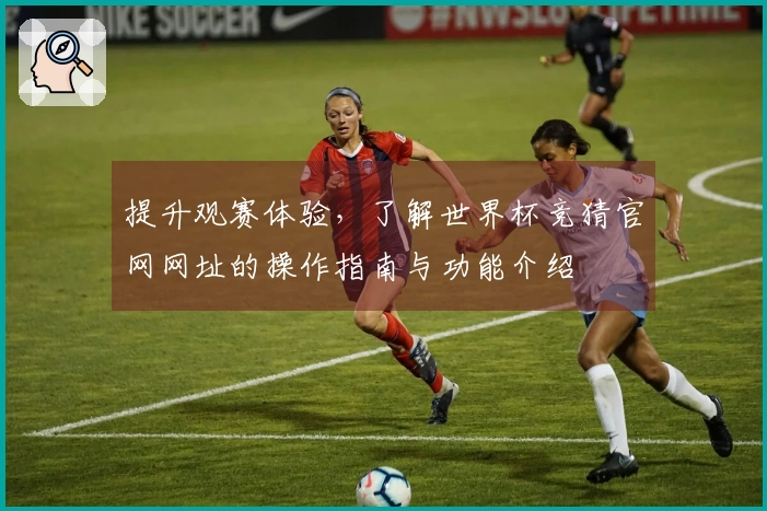 提升观赛体验,了解世界杯竞猜官网网址的操作指南与功能介绍