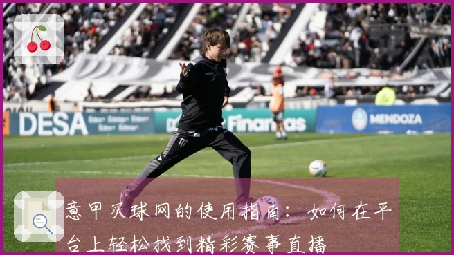 意甲买球网的使用指南：如何在平台上轻松找到精彩赛事直播