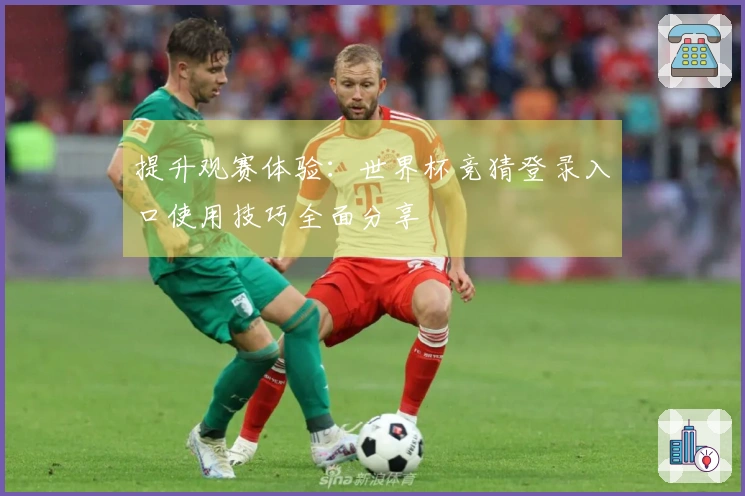 提升观赛体验：世界杯竞猜登录入口使用技巧全面分享
