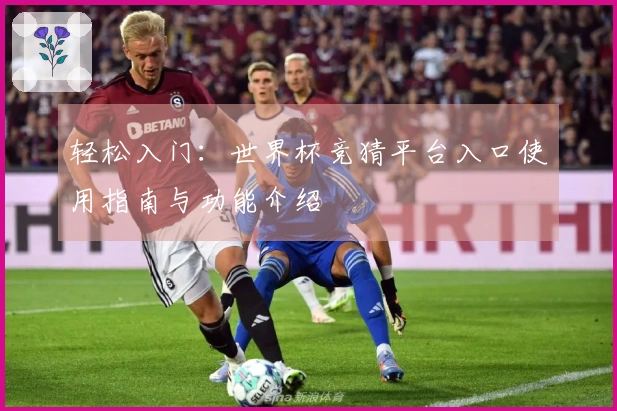 轻松入门：世界杯竞猜平台入口使用指南与功能介绍