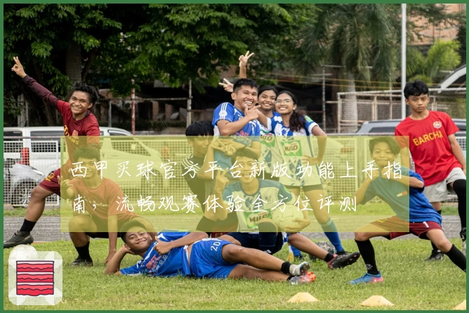 西甲买球官方平台新版功能上手指南，流畅观赛体验全方位评测