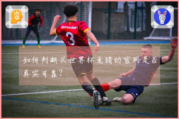 如何判断买世界杯竞猜的官网是否真实可靠?