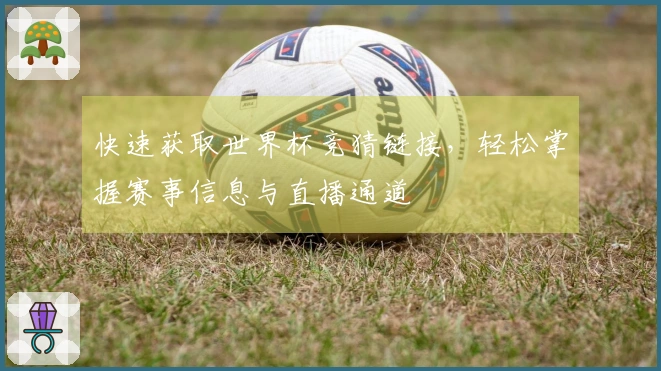 快速获取世界杯竞猜链接，轻松掌握赛事信息与直播通道