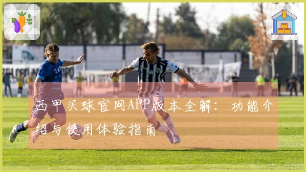 西甲买球官网APP版本全解：功能介绍与使用体验指南