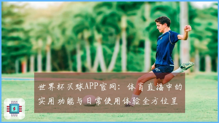 世界杯买球APP官网：体育直播中的实用功能与日常使用体验全方位呈现